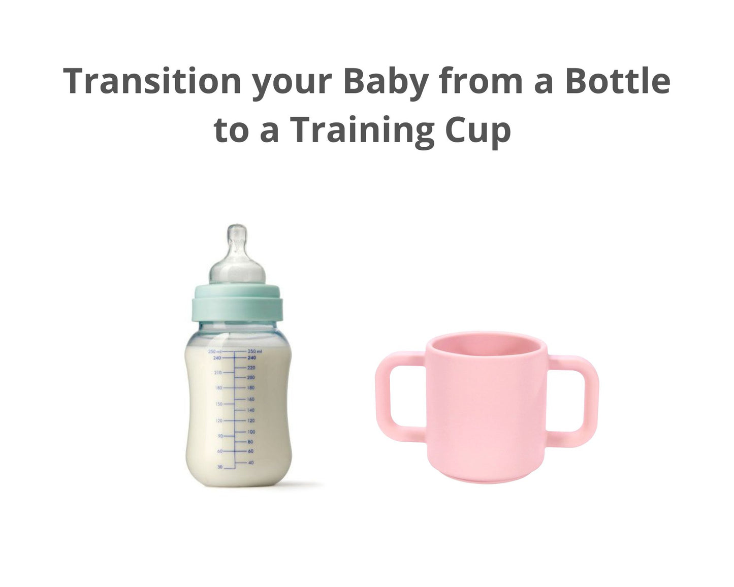 Training Cup