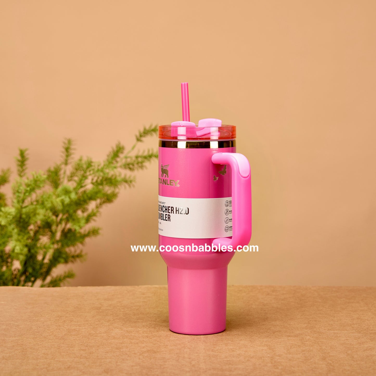 Stanley Quencher H2.O FlowState Tumbler | 40 OZ