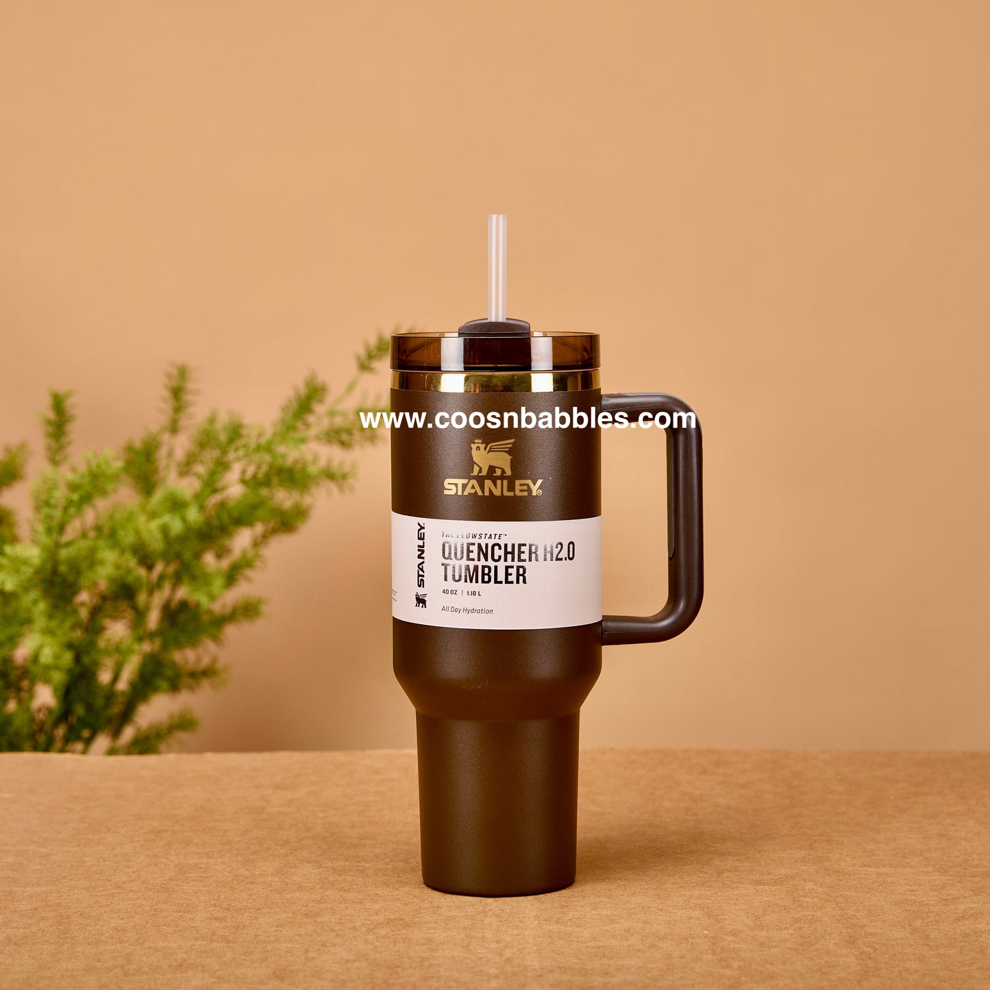 Stanley Quencher H2.O FlowState Tumbler | 40 OZ