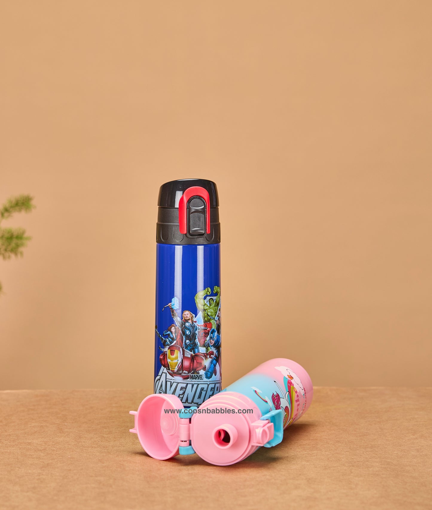 Printed Steel Bottles